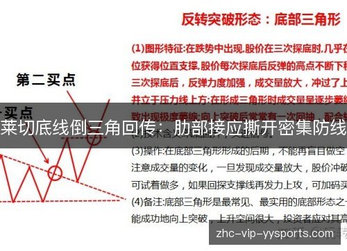 莱切底线倒三角回传：肋部接应撕开密集防线
